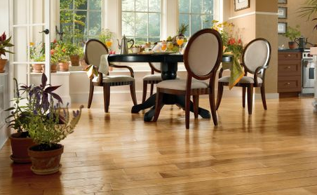 柞木1.png 柞木1.png